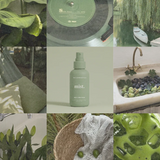 Mist / Hudson Valley - Cucumber, Mint, Lemongrass + Ginger