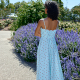 Elena Dress - Arctic Rose