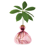 Avocado Vase - Rose Pink