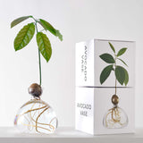 Avocado Vase - Clear