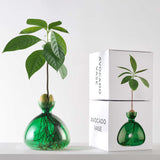 Avocado Vase - Emerald Green
