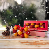 Festive Fresheners - POLKA DOTS