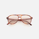 Scout Sunglasses - Chestnut