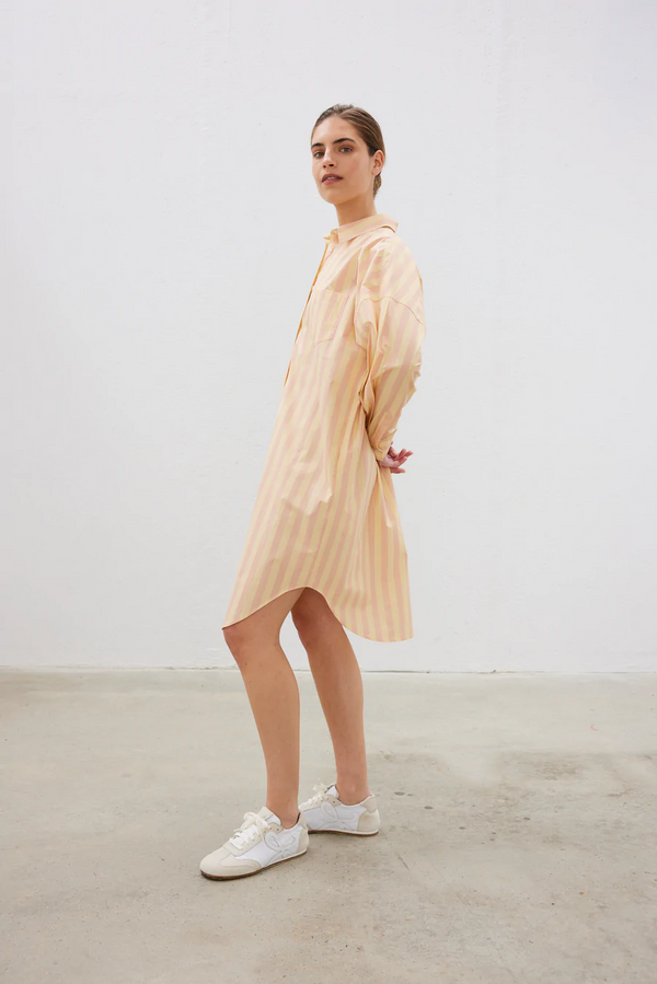 Chiara Shirt Dress - Pink Clay/ Wool